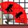 一米阳光